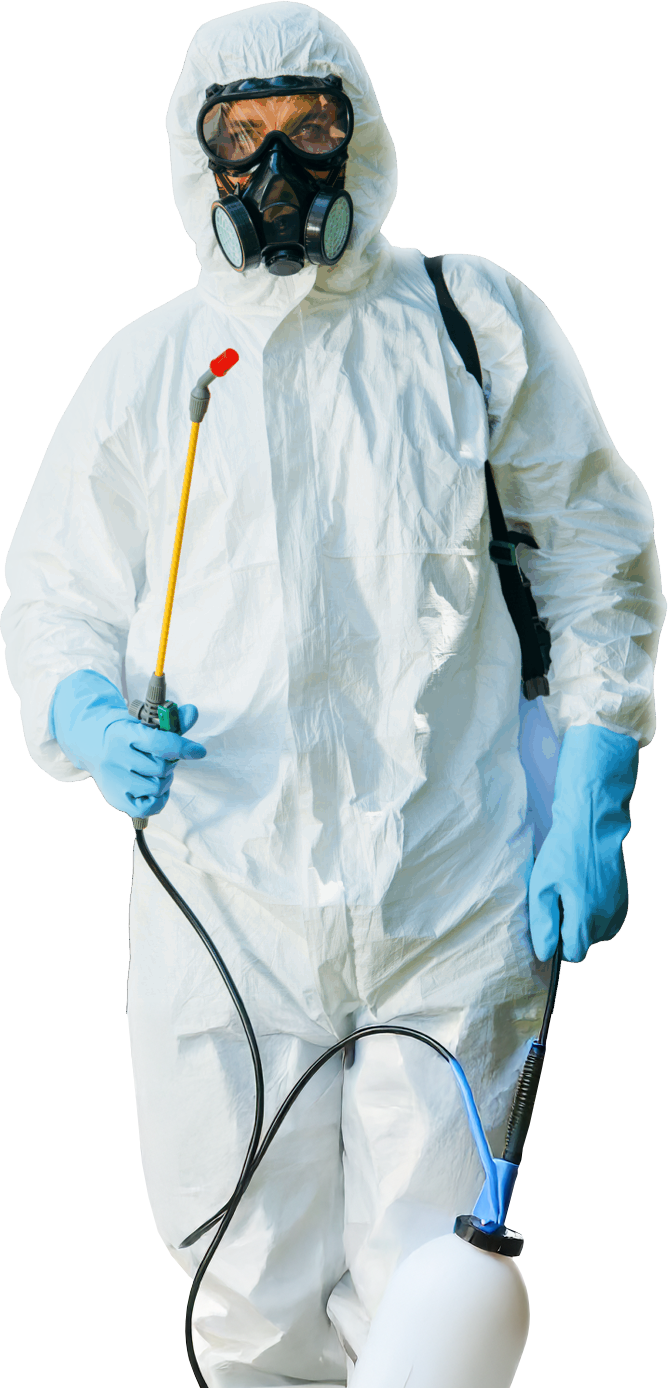 pest control person pest control person