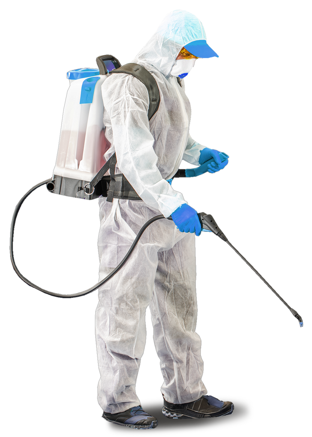 pest control services pest control services