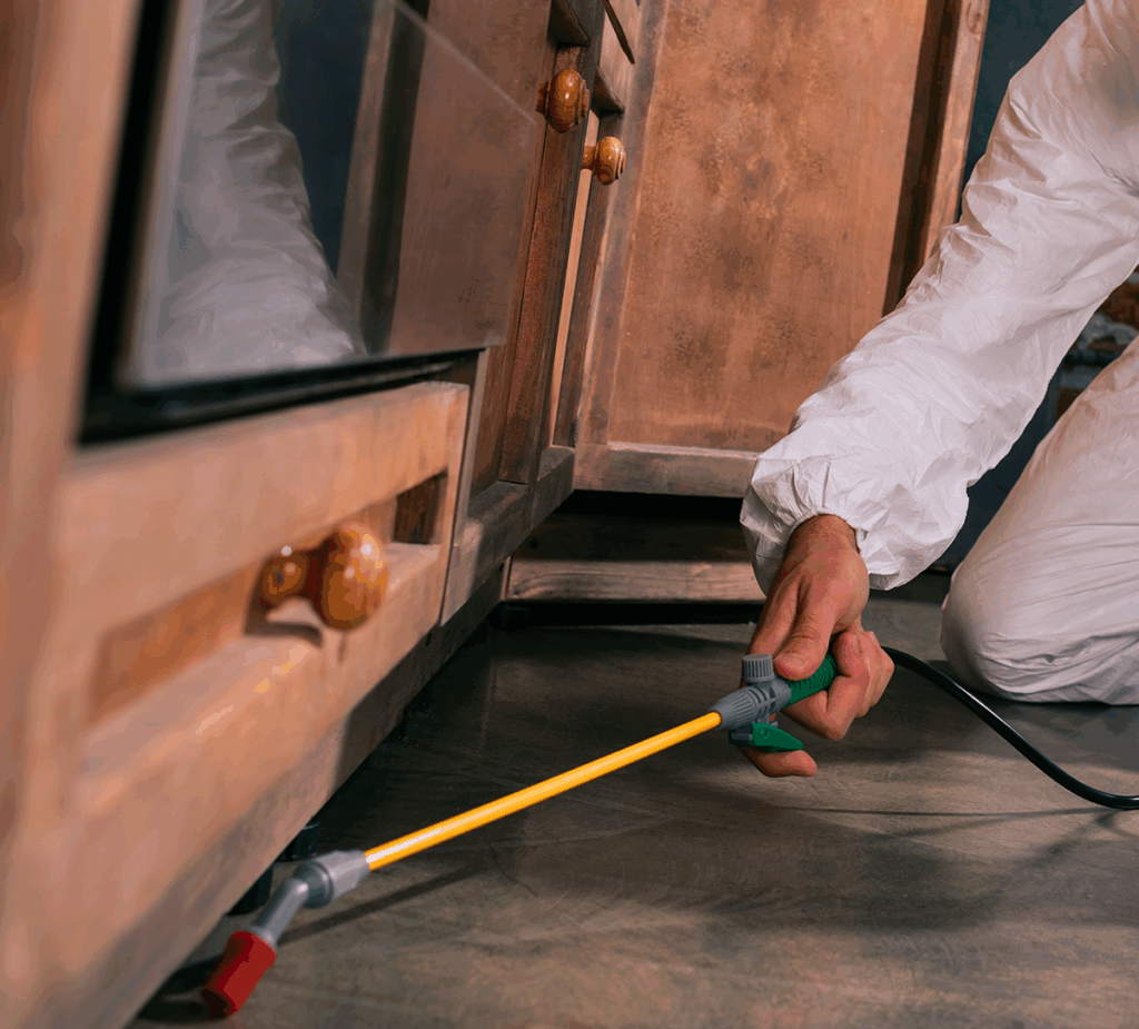 termite pest control - Thrash termite pest control