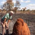 Understanding the Different Methods of Pest Control for Termites
